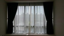 Leedon Residence (D10), Condominium #446242121